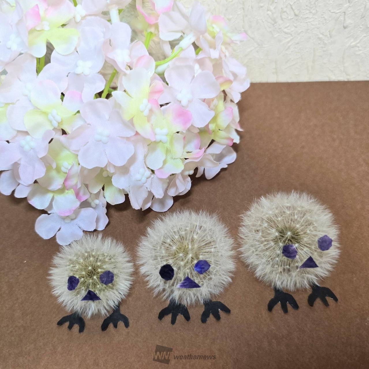 タンポポパンダ」を作ろう 注目の空の写真 ウェザーニュース