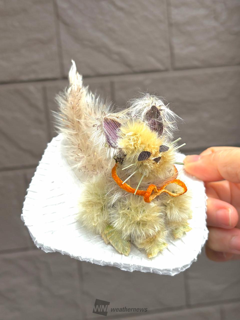 タンポポパンダ」を作ろう 注目の空の写真 ウェザーニュース