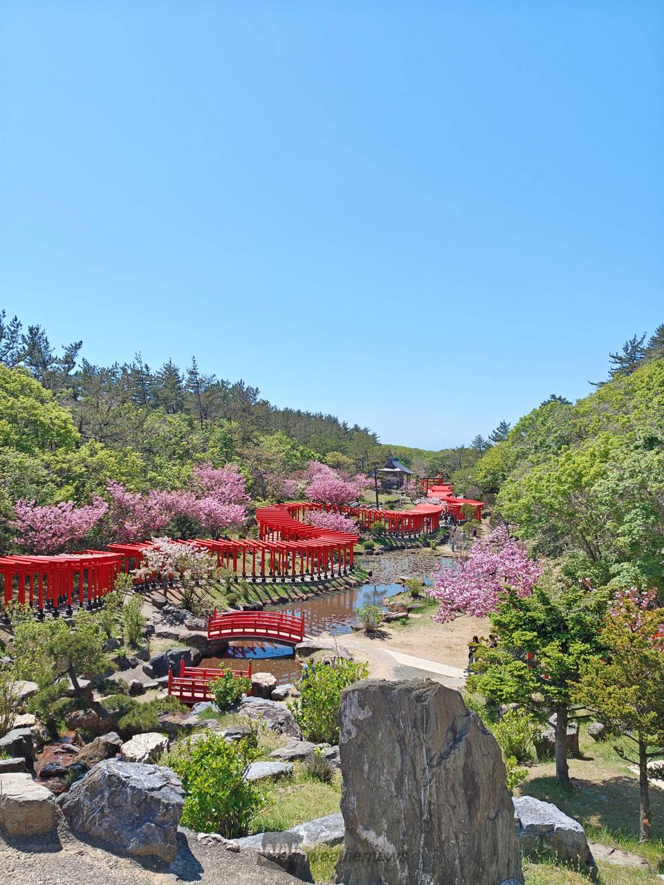 GW最終日、髙山稲...