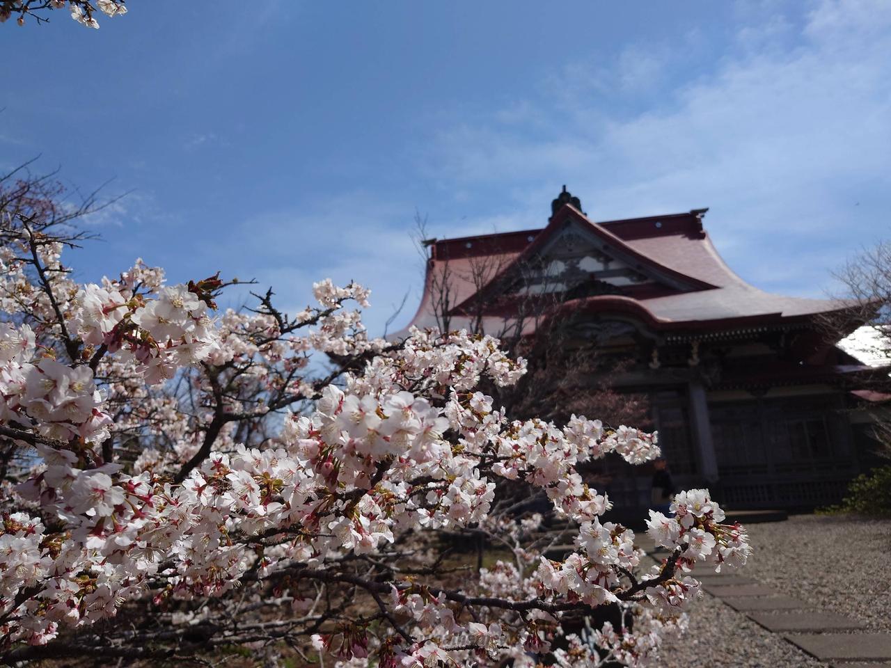 今日の根室市清隆寺...