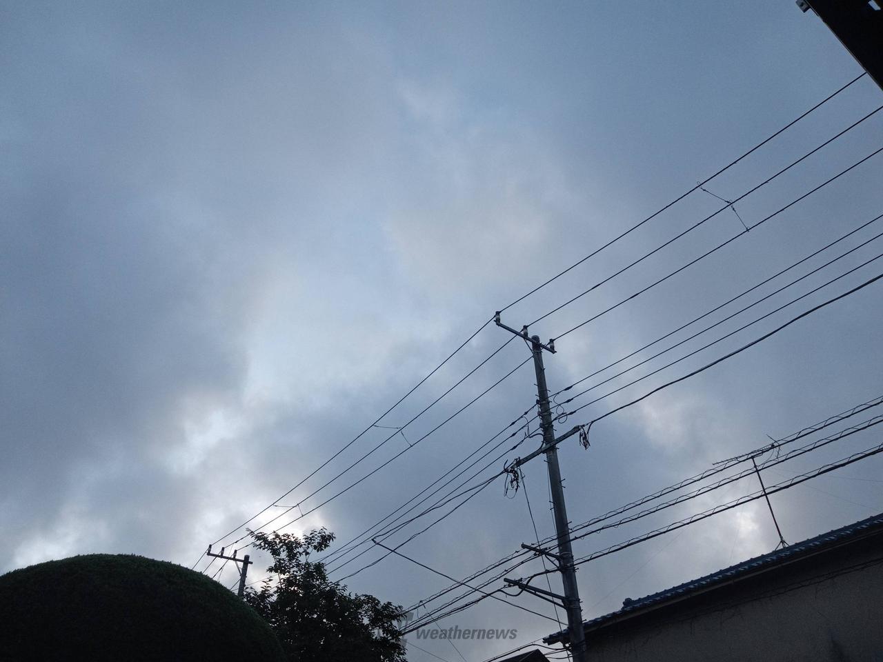 #朝イチリポート...