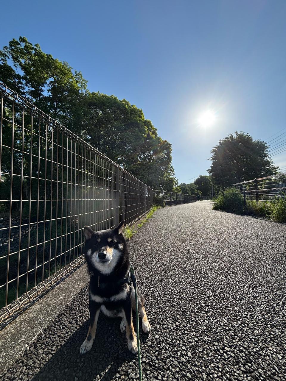☀️今日の青空 注目の空の写真 ウェザーニュース