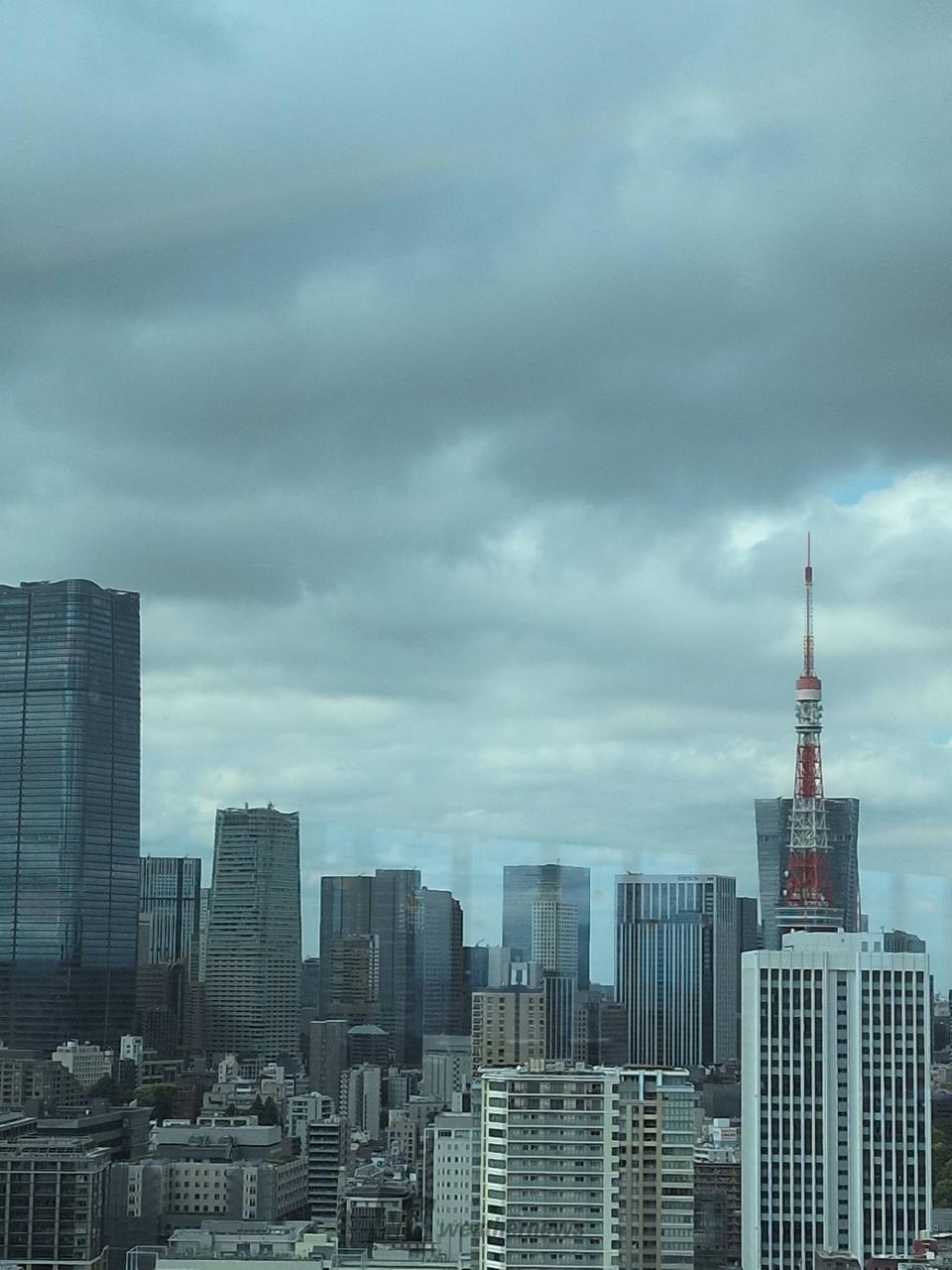 東京 都 港 区 の 天気