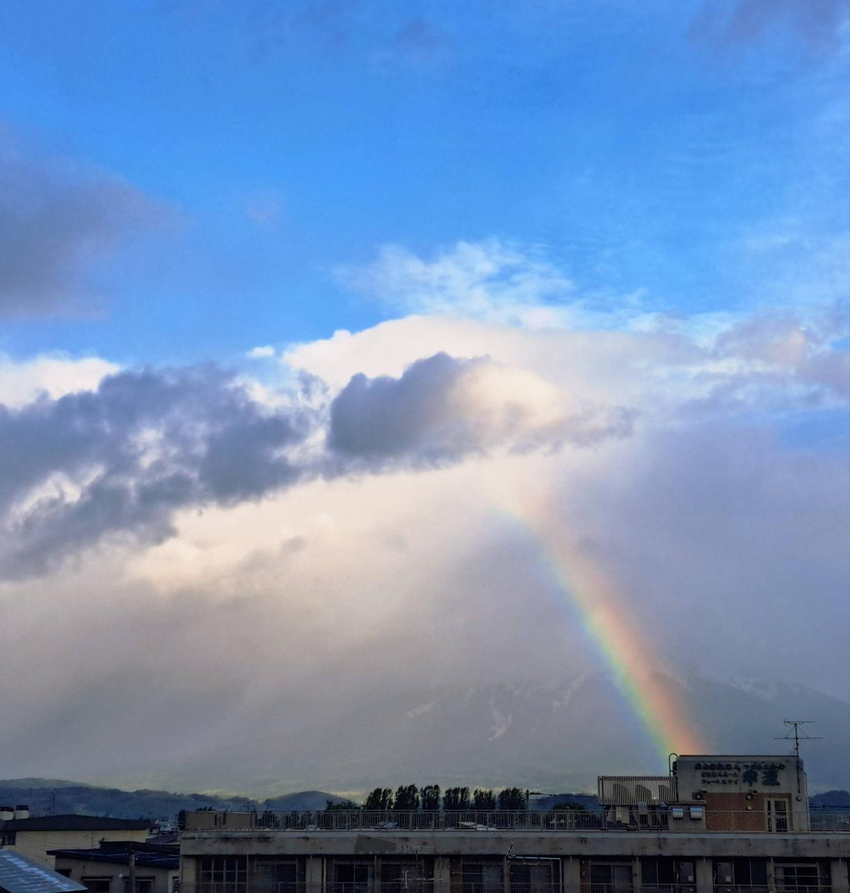 ◆オーダー用◆ダイカット 虹 雲 太陽 雨粒 朝虹が出現🌈 注目の空の写真 ウェザーニュース