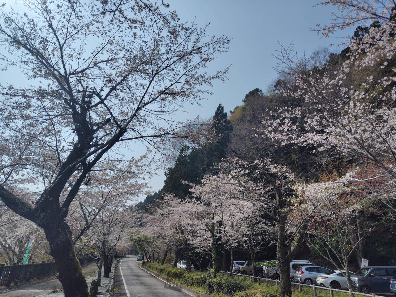 3月の家山