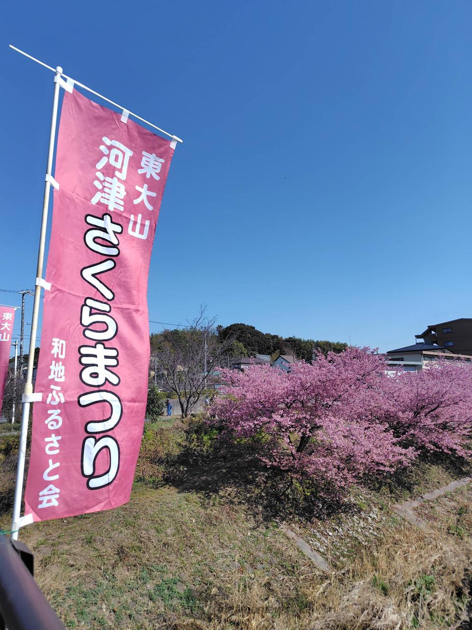 2月の東大山