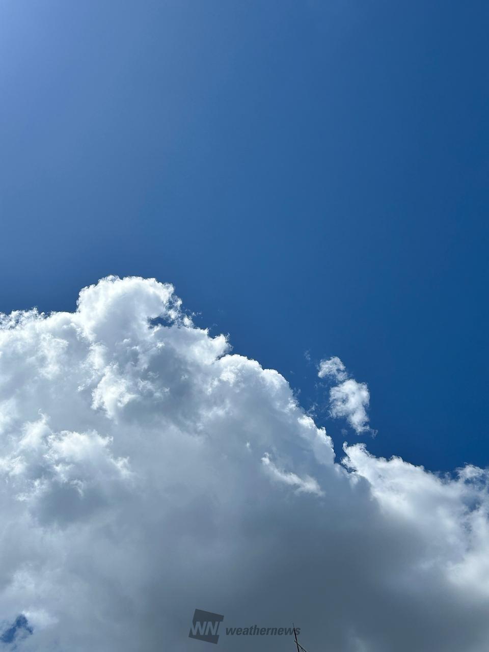 夏みたいな空と雲 注目の空の写真 ウェザーニュース