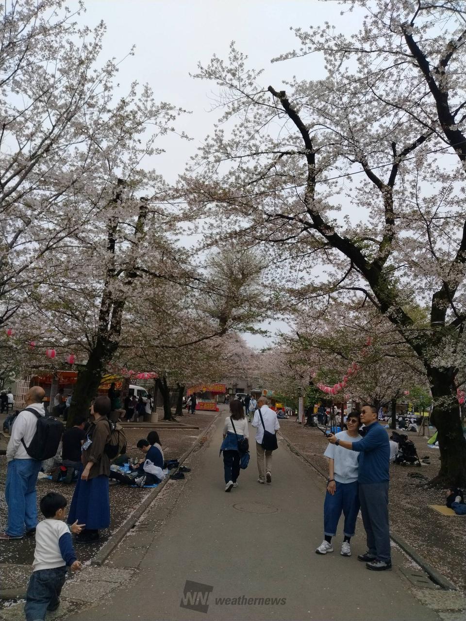 川越の名所、喜多院...