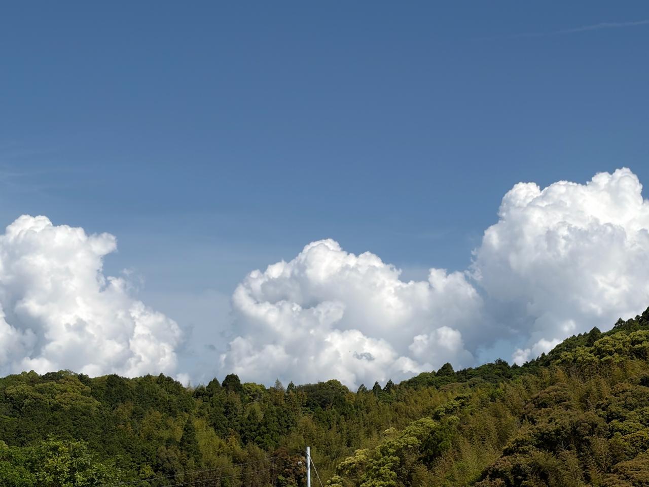 夏の雲モクモク☁️ 注目の空の写真 ウェザーニュース