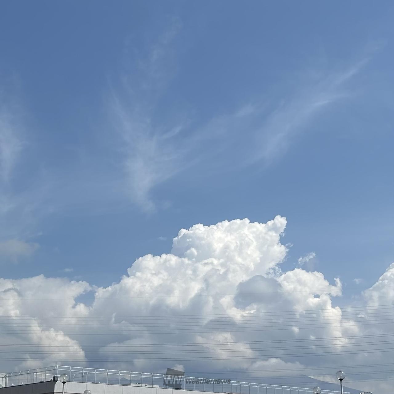 夏の雲モクモク☁️ 注目の空の写真 ウェザーニュース