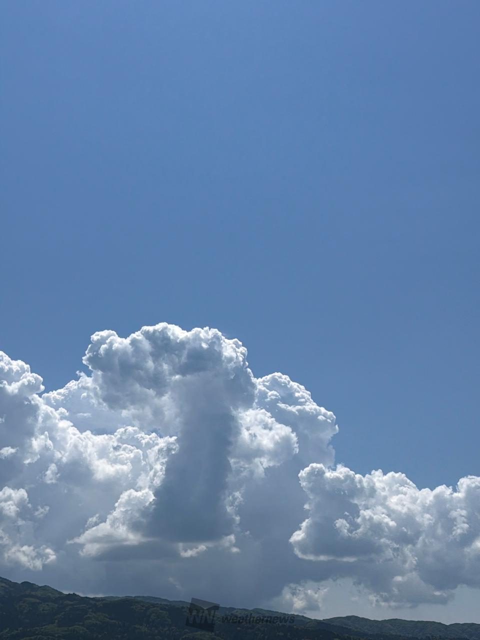 夏の雲モクモク☁️ 注目の空の写真 ウェザーニュース