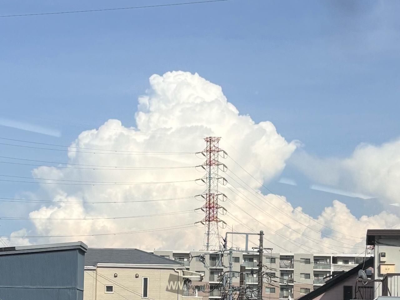 夏の雲モクモク☁️ 注目の空の写真 ウェザーニュース
