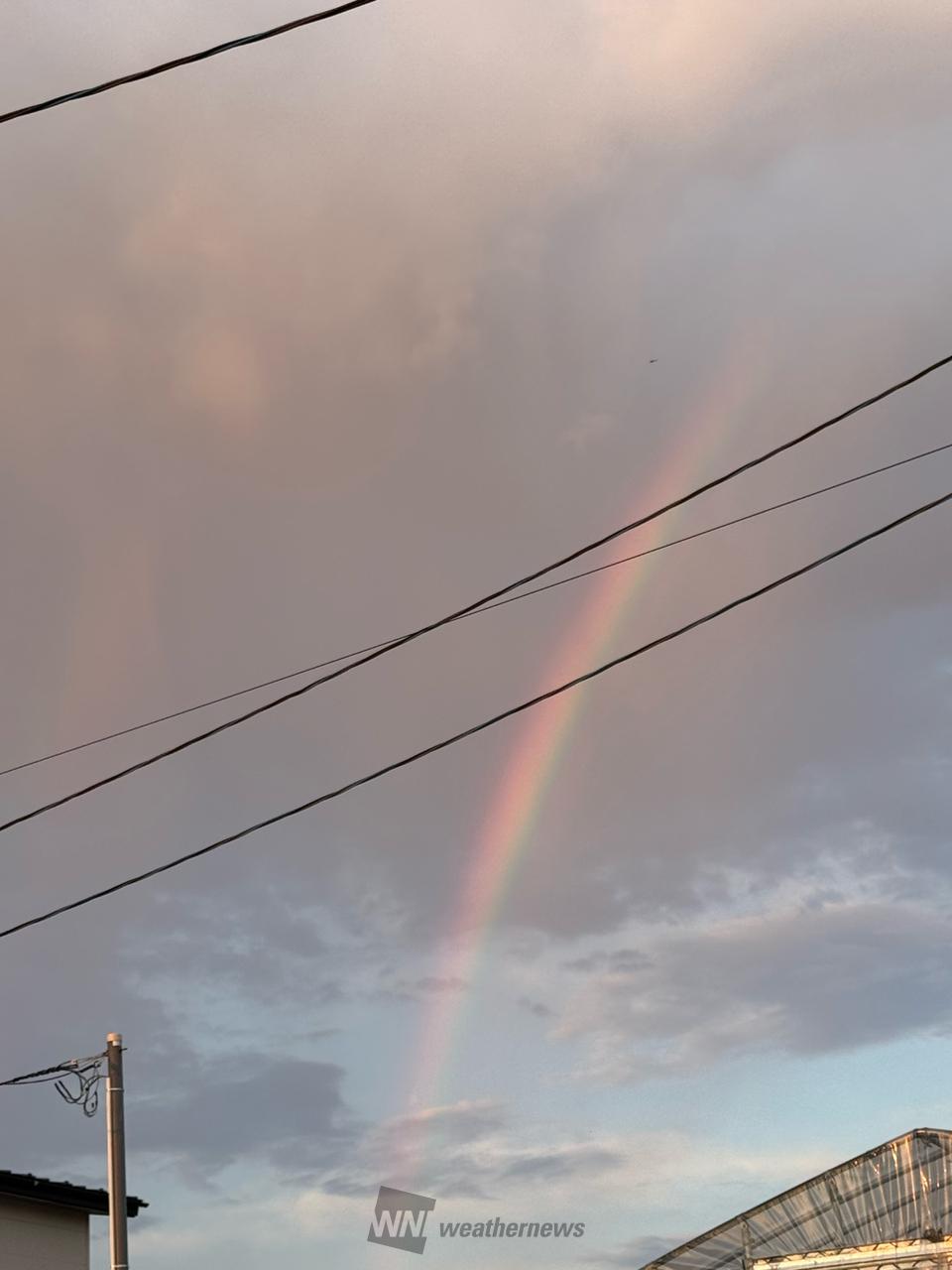 空に大きな虹🌈 注目の空の写真 ウェザーニュース