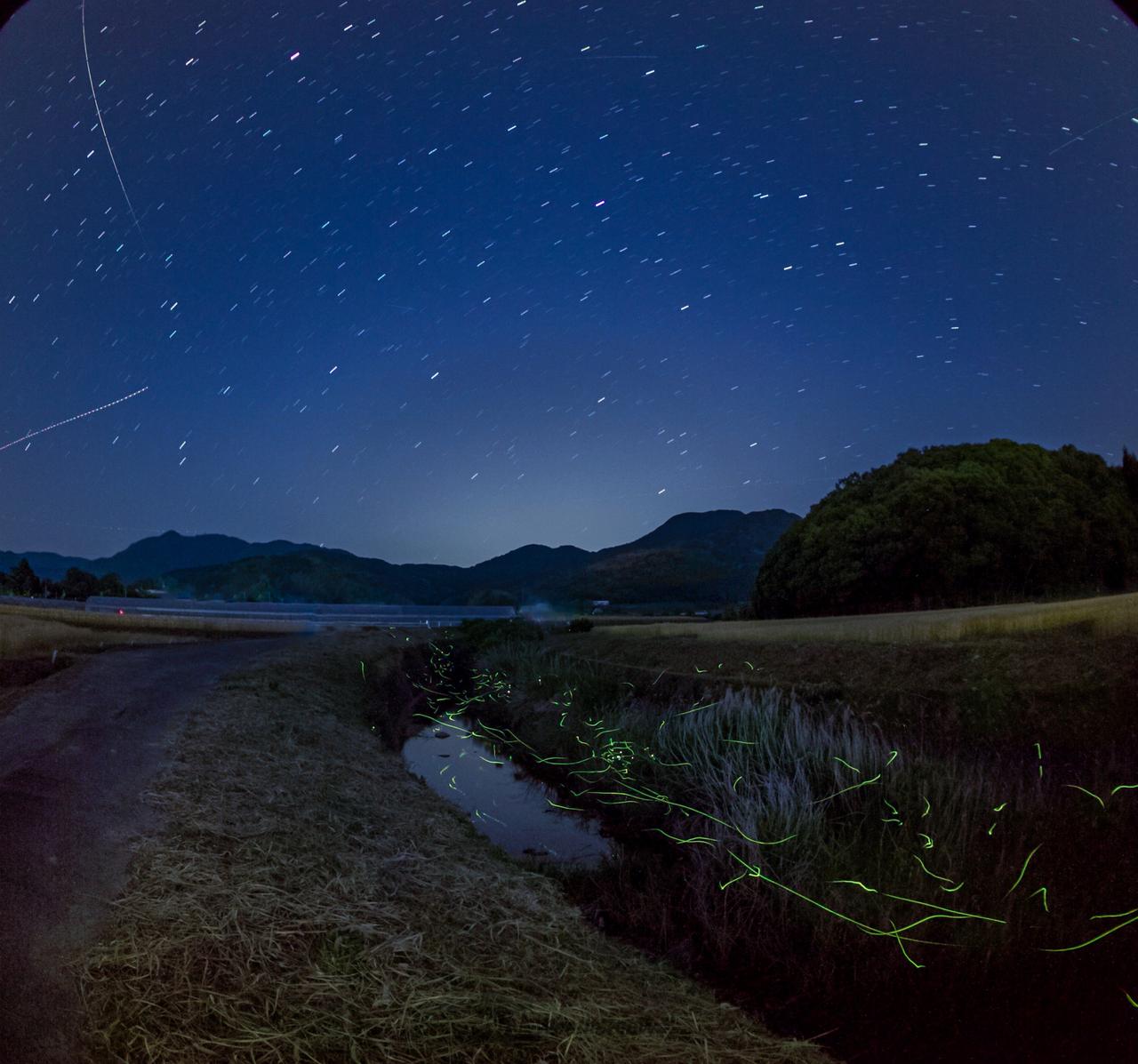ほたる写真・動画館 注目の空の写真 ウェザーニュース