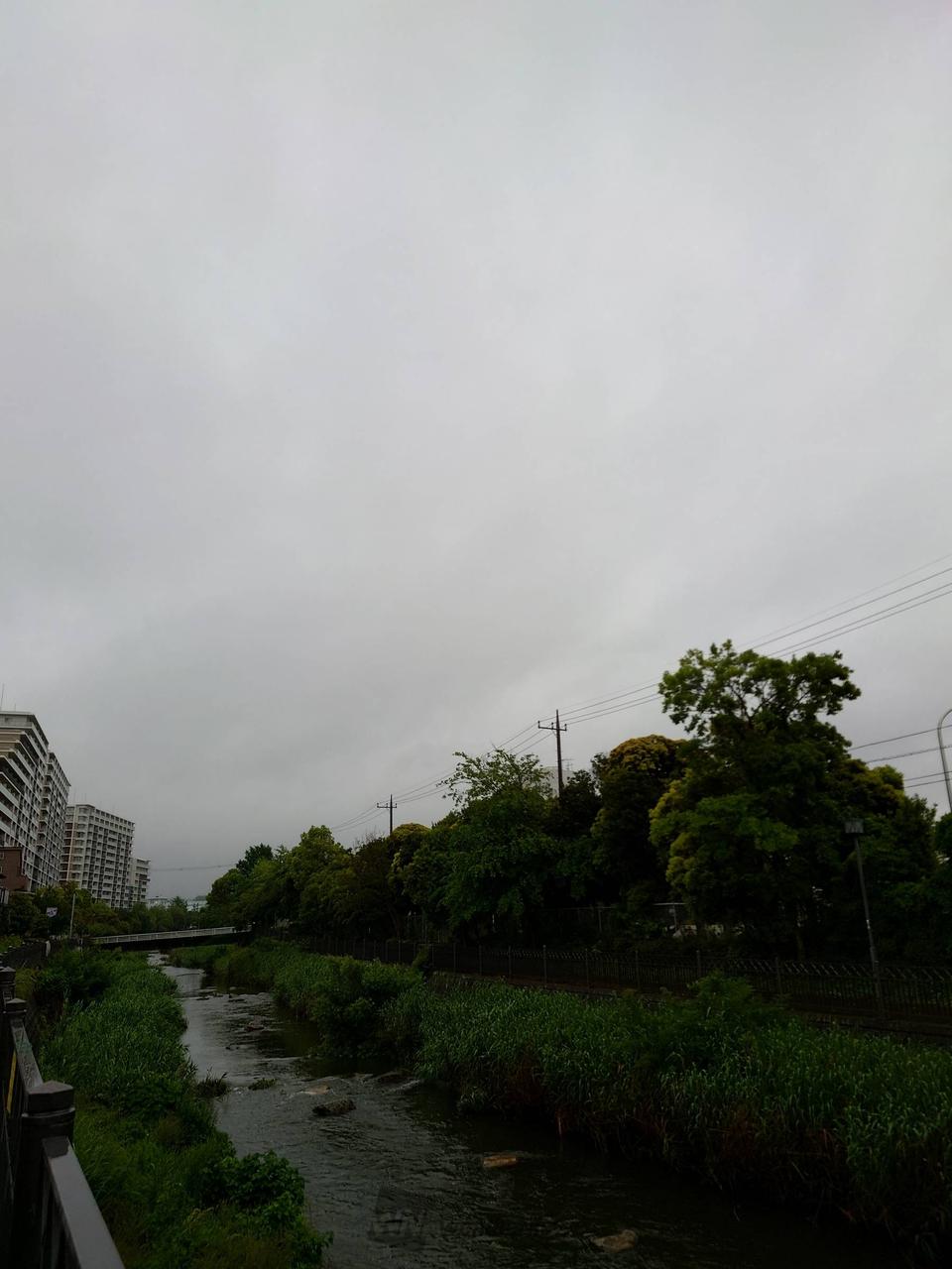 横浜 市栄 区 天気