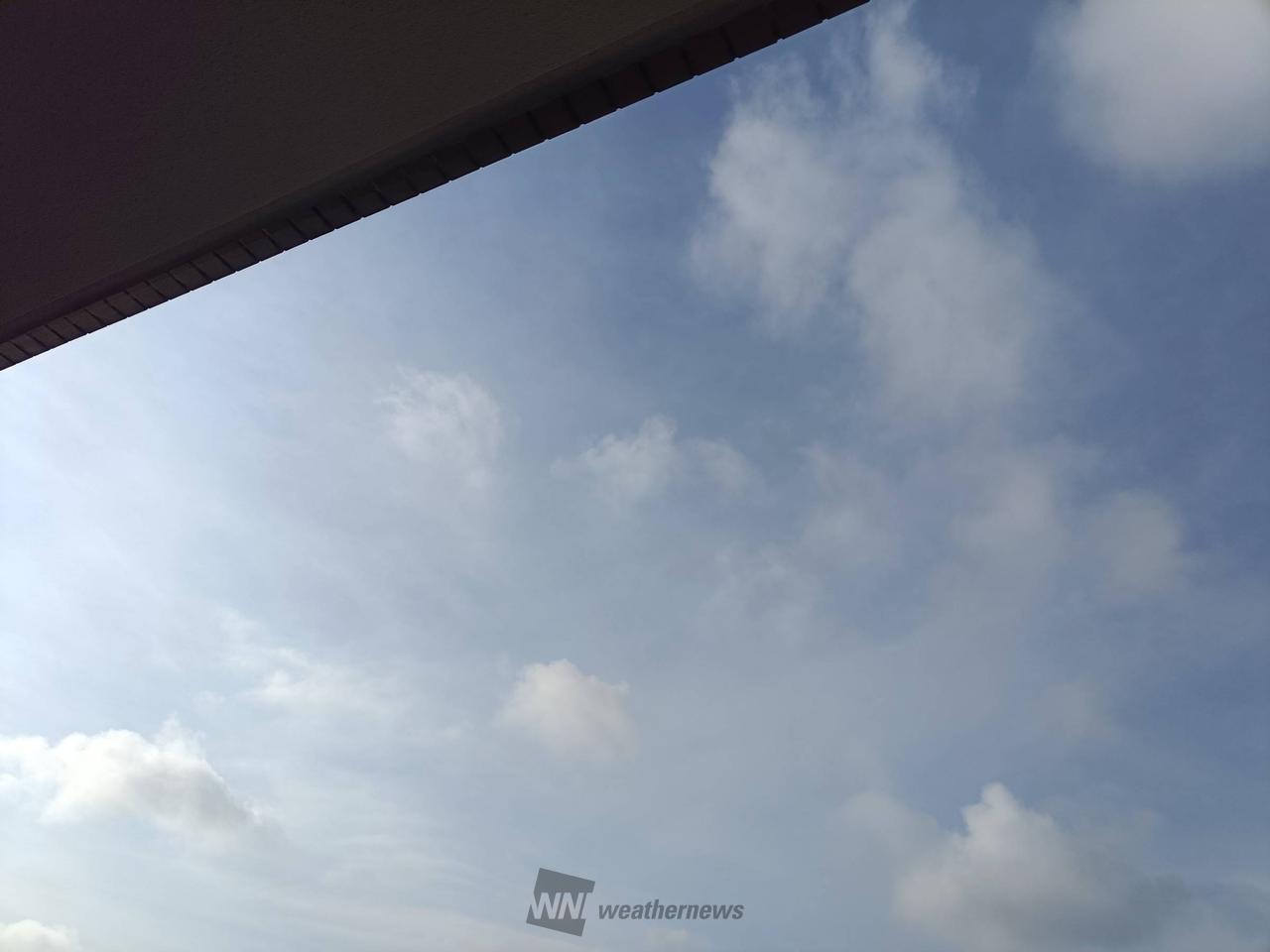 うっすらと雲が全体にかかっています 風は | 神奈川県大和市 | なお