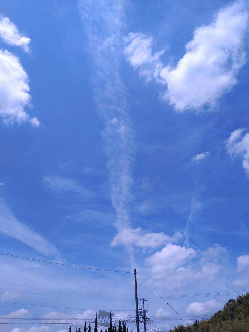 青空広がってます 色んな形の雲で面白い  | 三重県桑名市 | マロマロ
