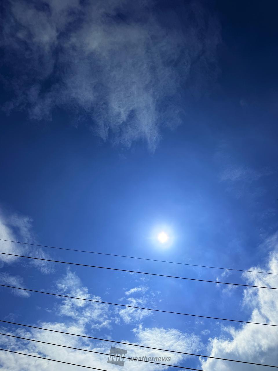 綺麗な青空が広がって、日差しが強くなって | 群馬県吾妻郡高山村 | 梅