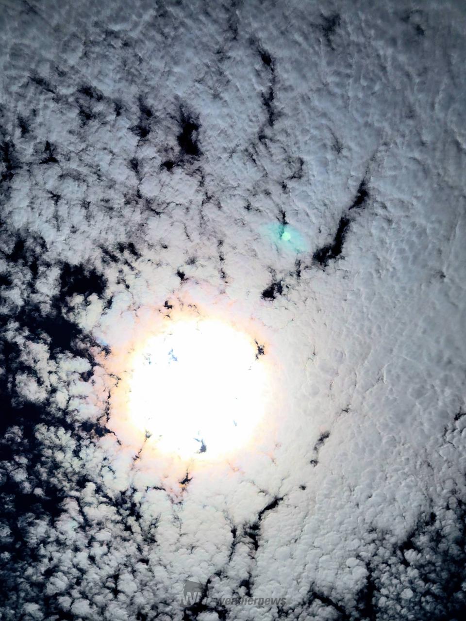 am9:50ごろ撮影しました📸 今日も | 埼玉県熊谷市 | ☁吊るし雲