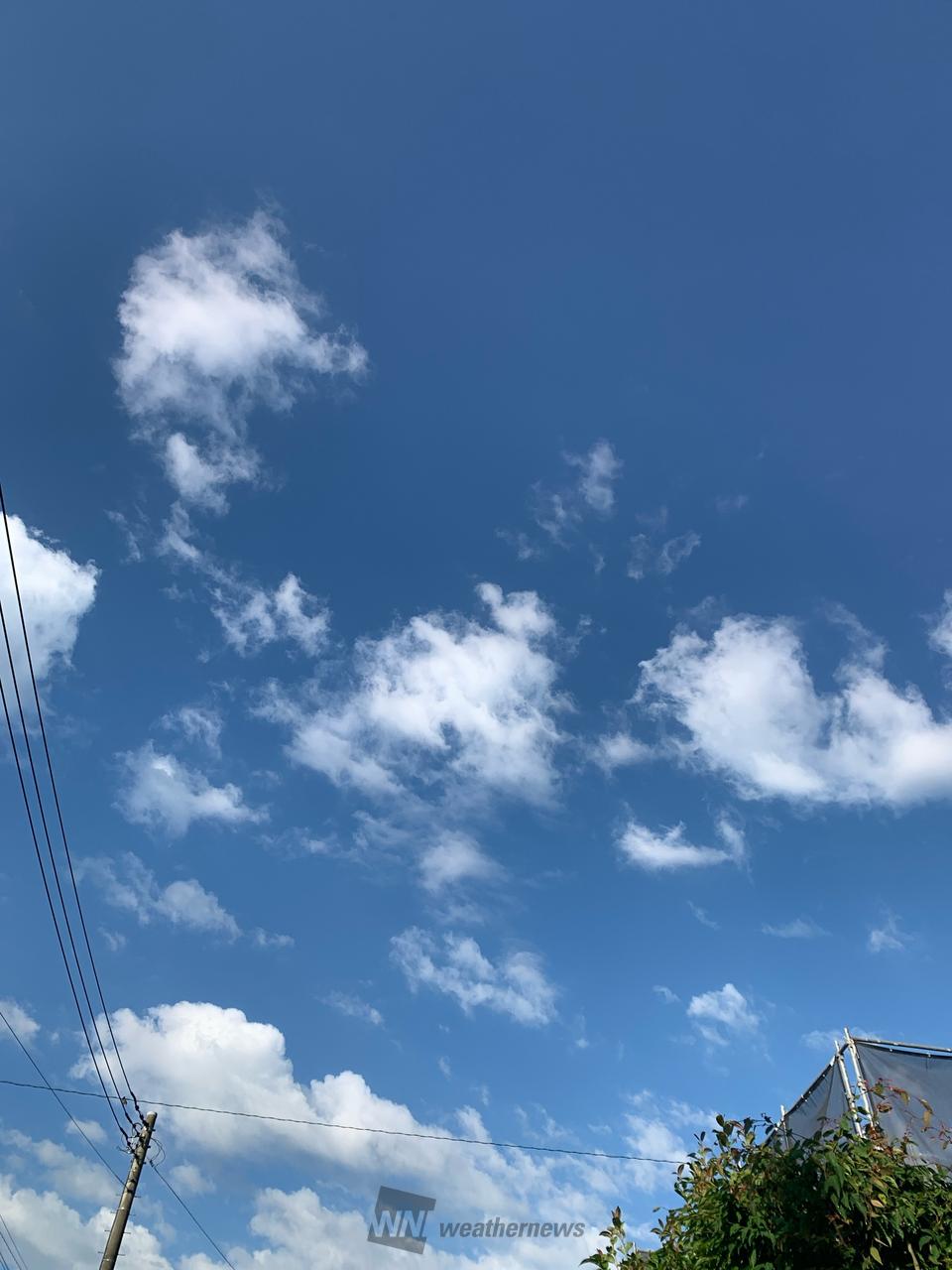 きれいな青空に所々に白い雲が浮かんでいま | 千葉県千葉市若葉区