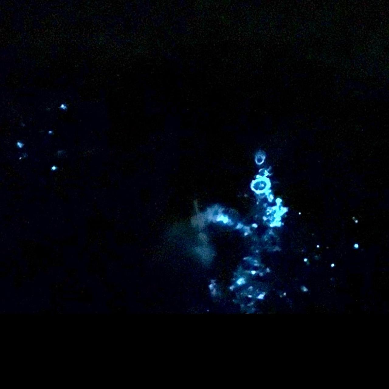 夜光虫 今話題の夜光虫を江ノ島に観に行き | 神奈川県藤沢市 | めた