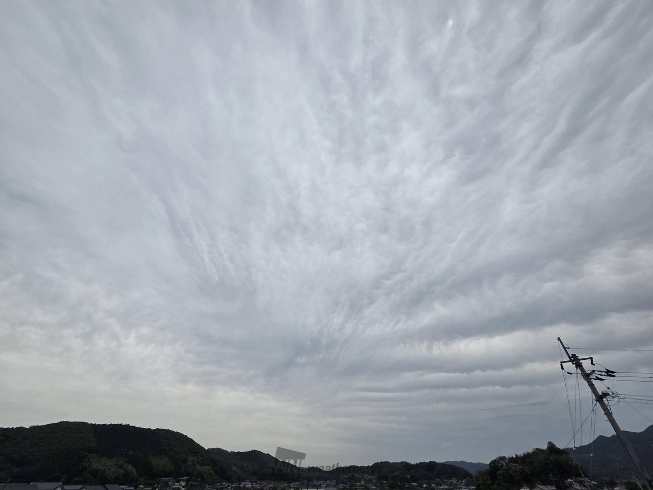 曇り空☁️ 午後からは晴れの予報です  | 高知県高岡郡佐川町 | T-Woodz