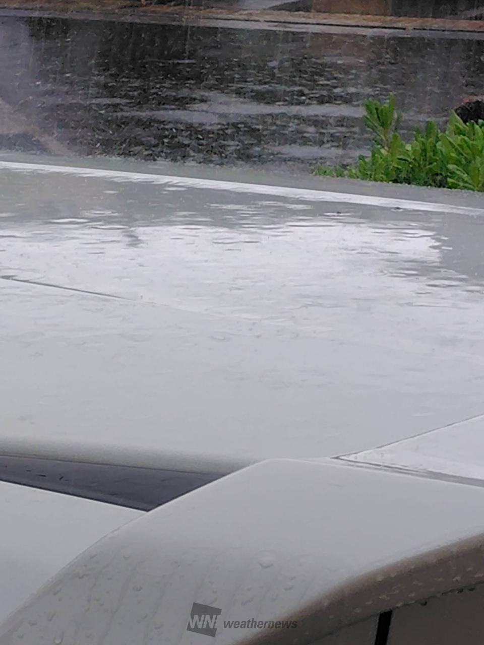 時折、激しく雨が叩きつける様に降ります。 | 神奈川県横須賀市