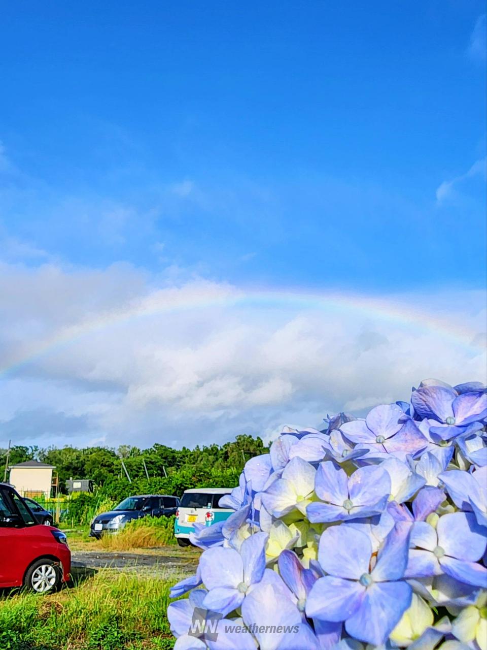 あじさいの色付き・開花進む 注目の空の写真 ウェザーニュース