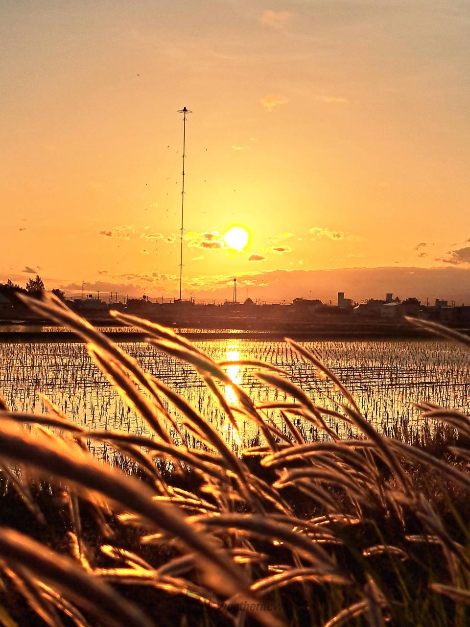 日の出🌅 注目の空の写真 ウェザーニュース