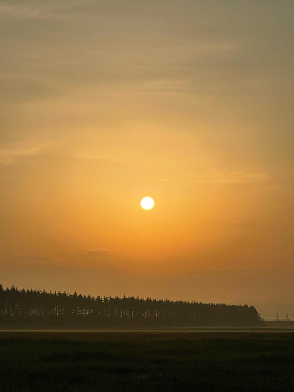 日の出🌅 注目の空の写真 ウェザーニュース
