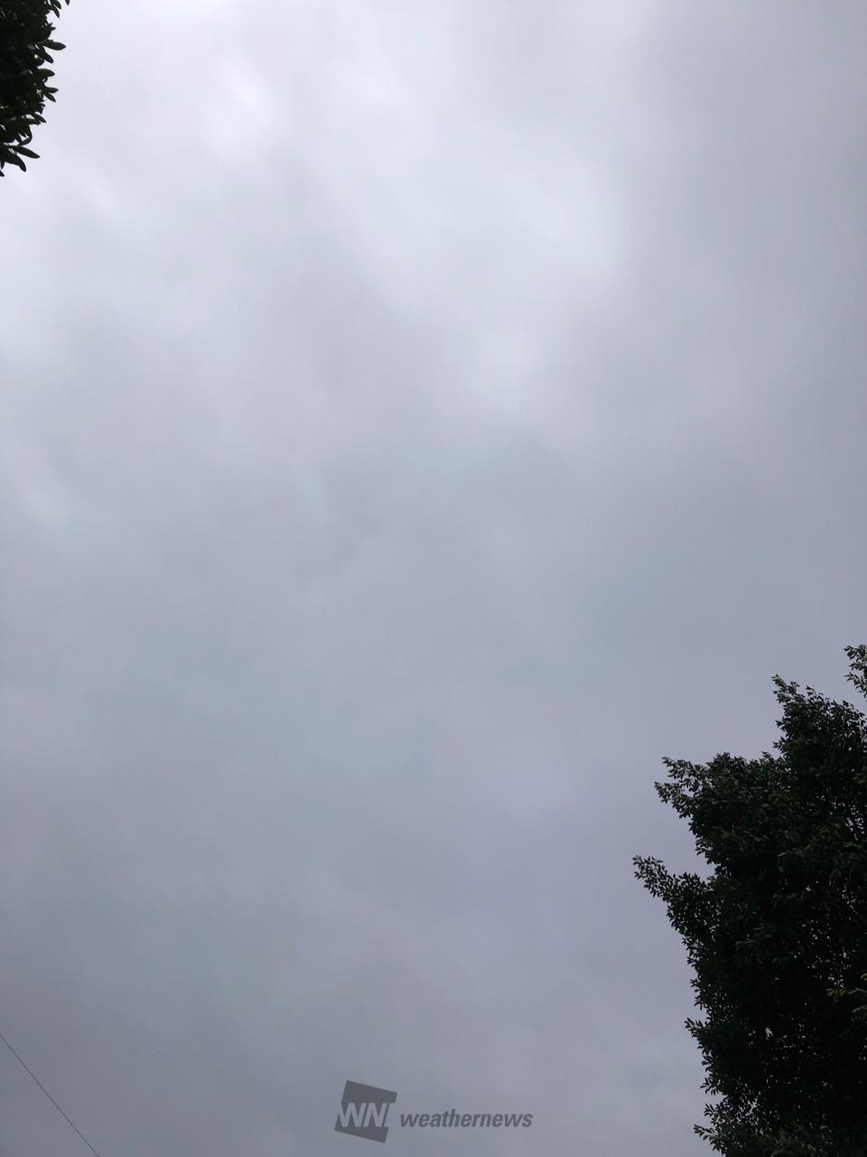 空一面グレーの雲に...