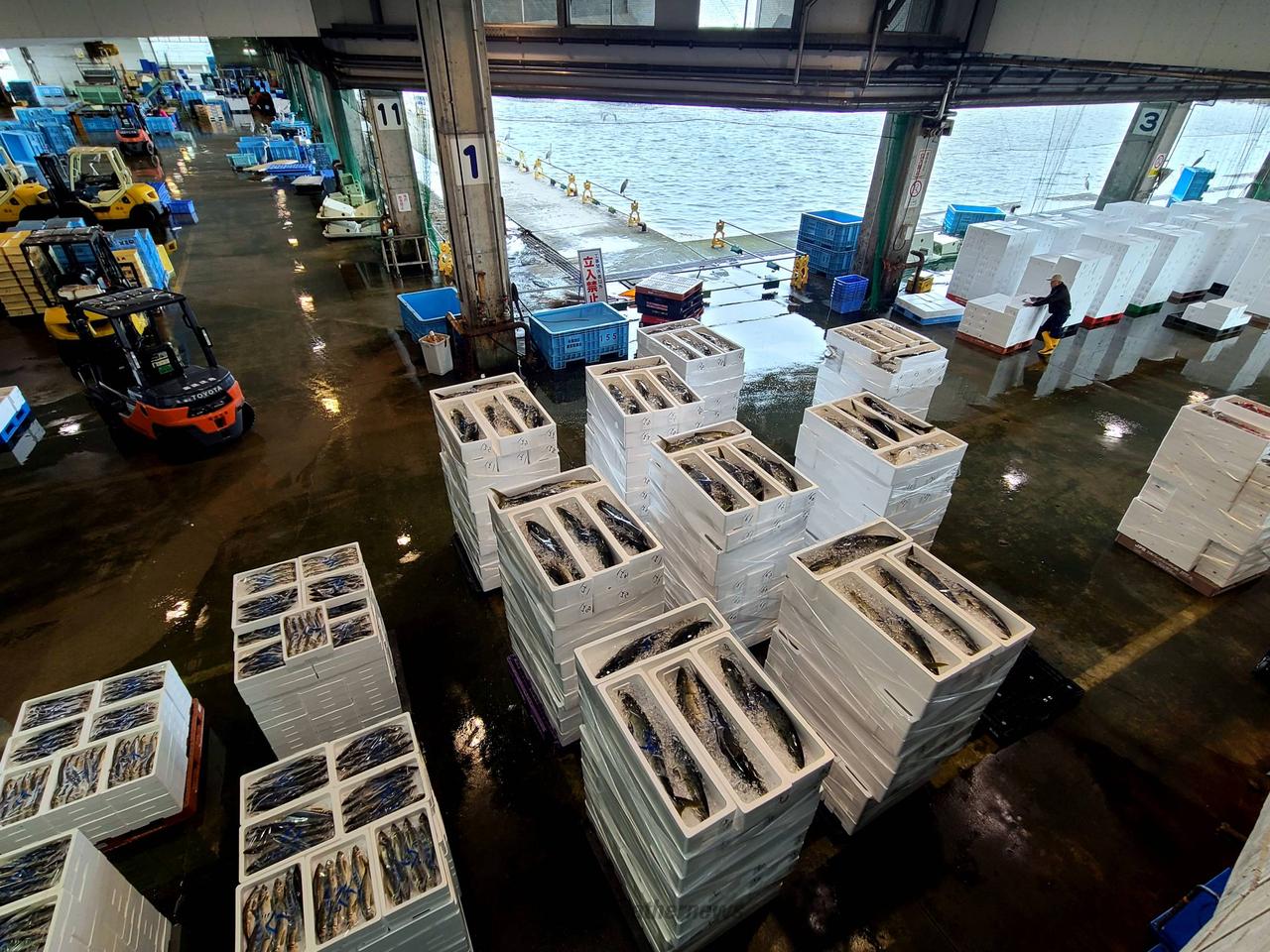 氷見魚市場🐟️