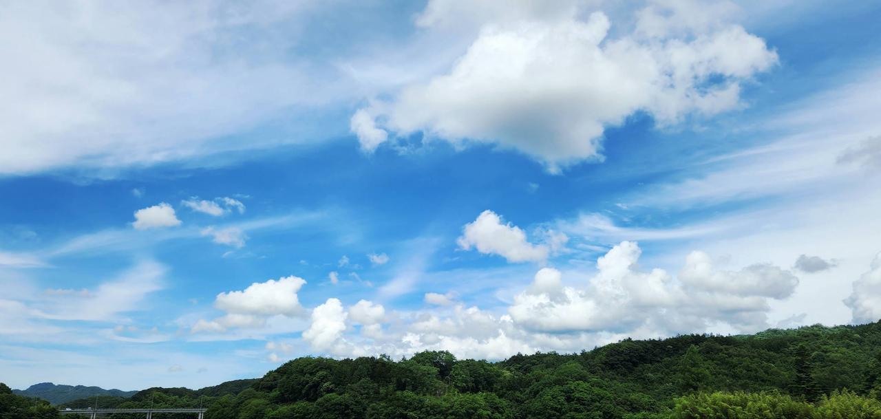 青空みーつけた 注目の空の写真 ウェザーニュース
