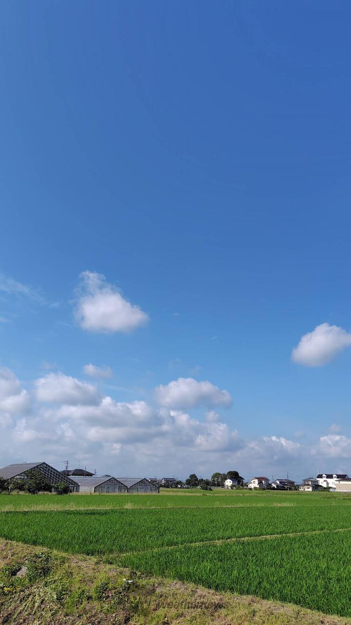 南西方向です、上空青空広がりっていますが | 静岡県浜松市浜名区
