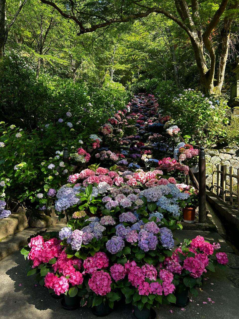 長谷寺