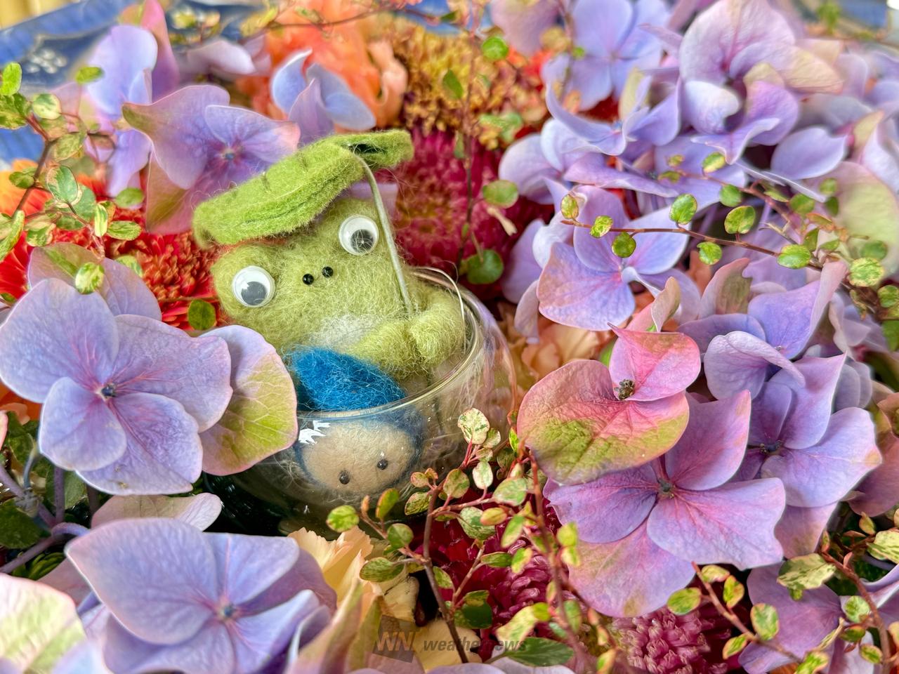 紫陽花の中のカエル🐸ゲコゲコ🎶 @最 | 埼玉県川越市 | あーりー