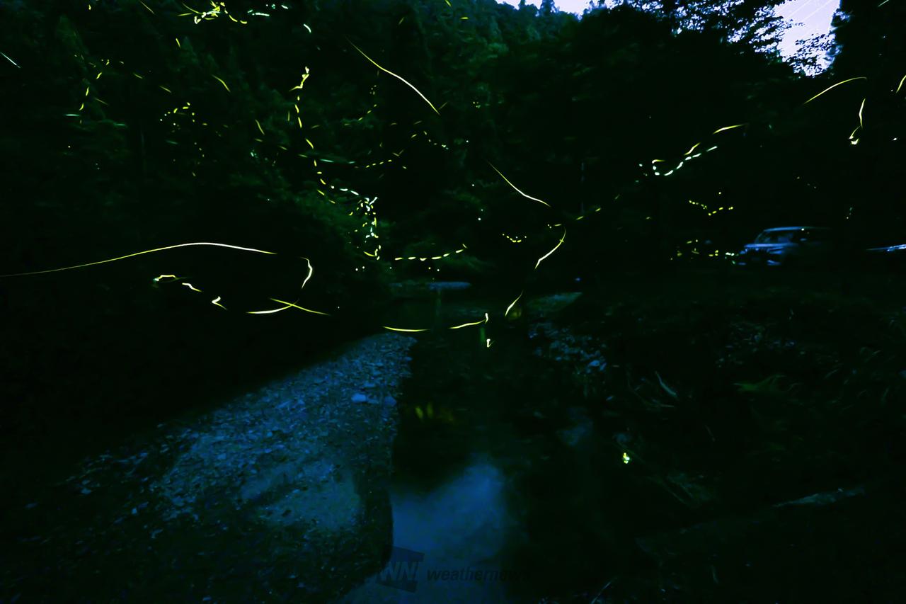 ほたる写真・動画館 注目の空の写真 ウェザーニュース
