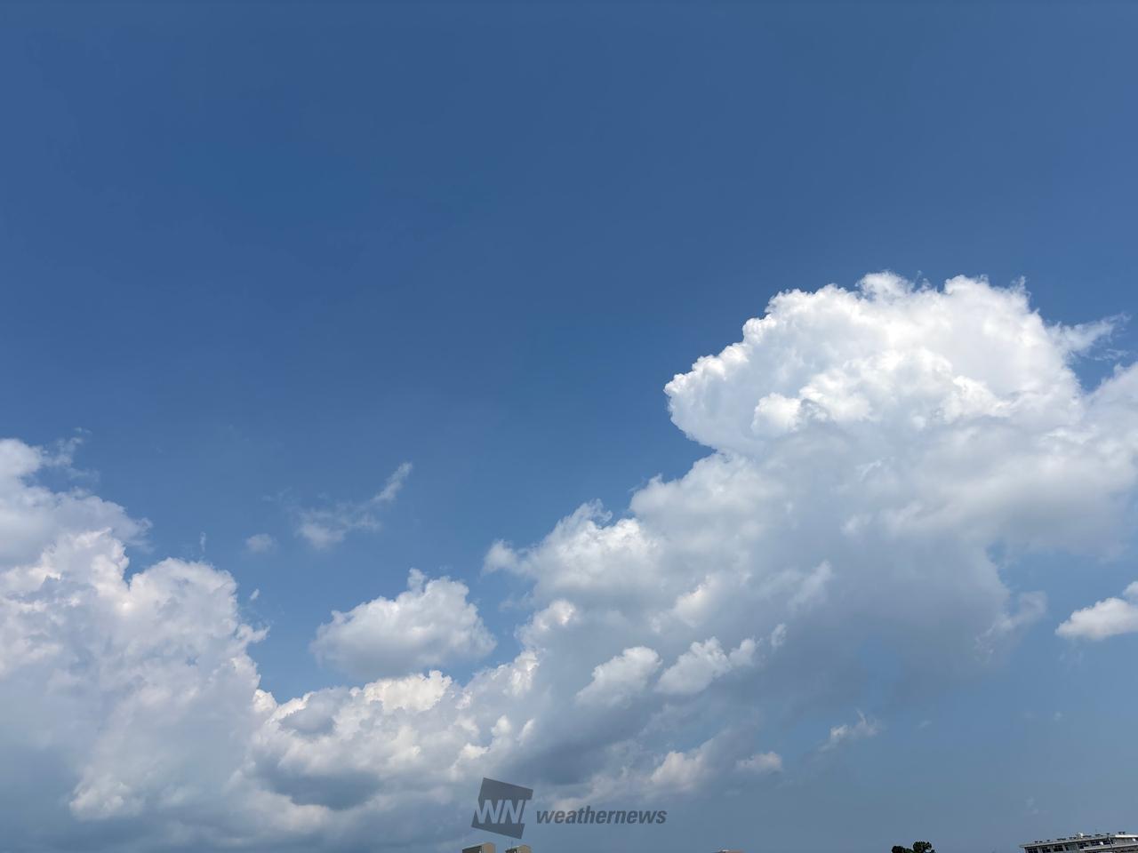 青い空に白い雲。少し暑い朝です。ゆるやか | 福井県福井市 | -福井 