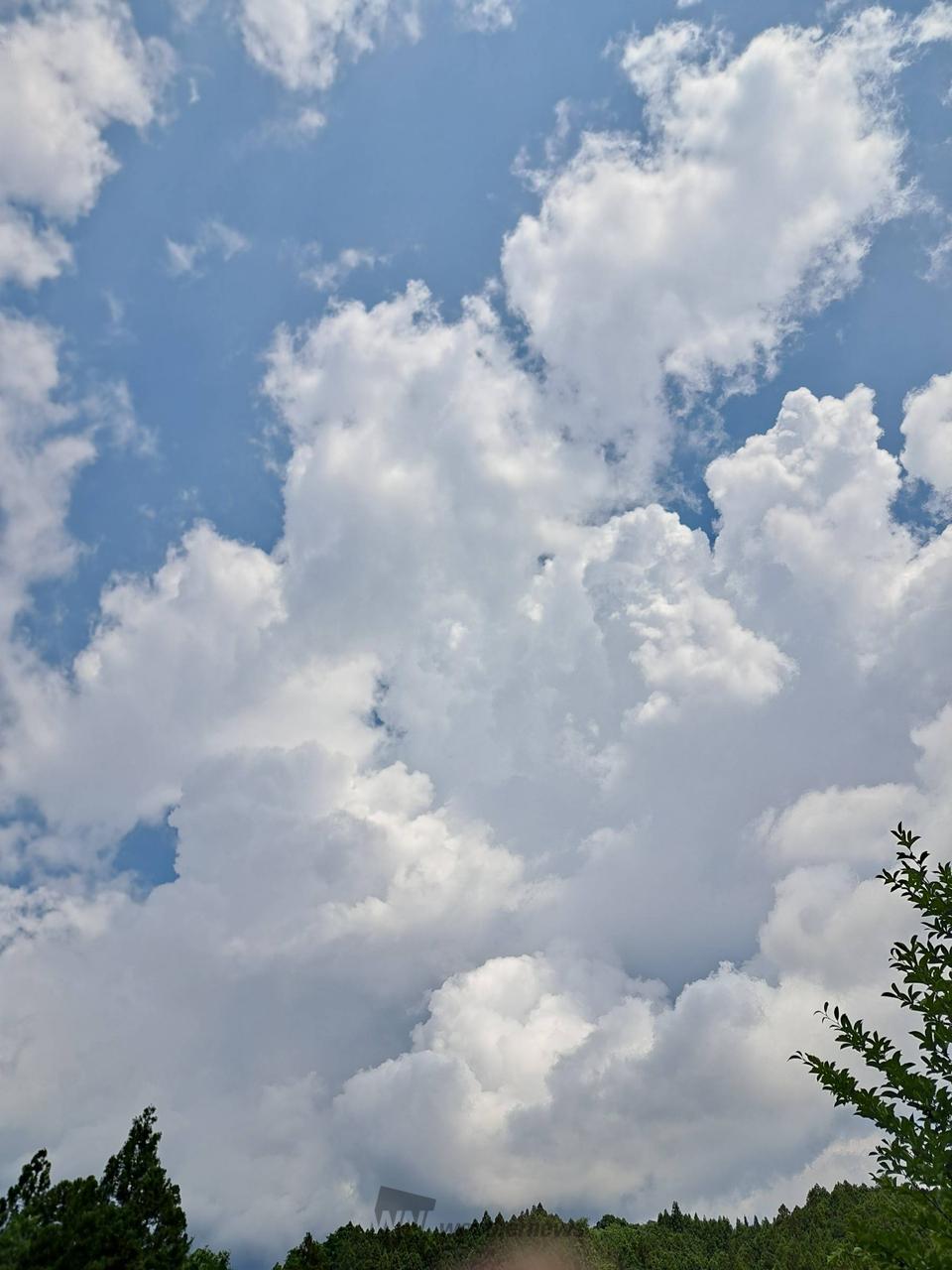 ☁️もくもく☁️ 注目の空の写真 ウェザーニュース