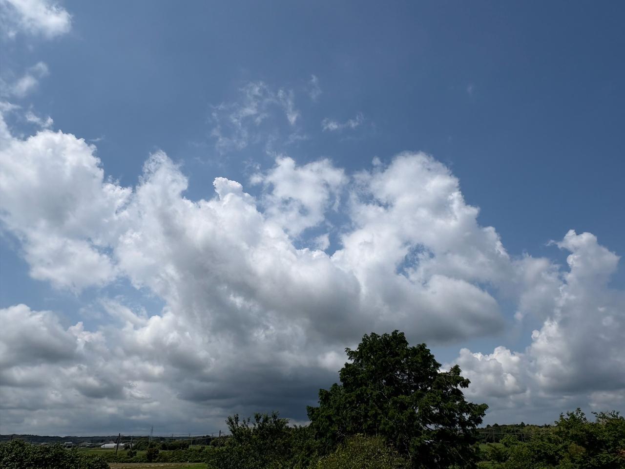 ☁️もくもく☁️ 注目の空の写真 ウェザーニュース