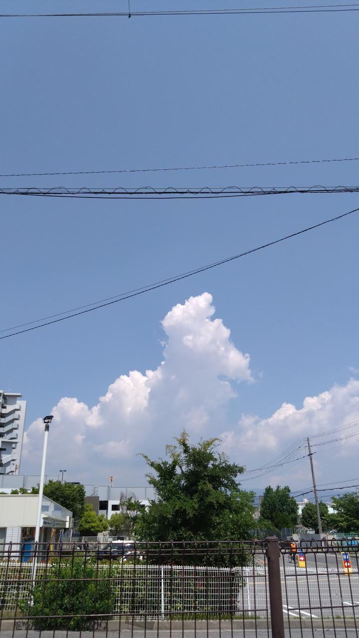 ☁️もくもく☁️ 注目の空の写真 ウェザーニュース