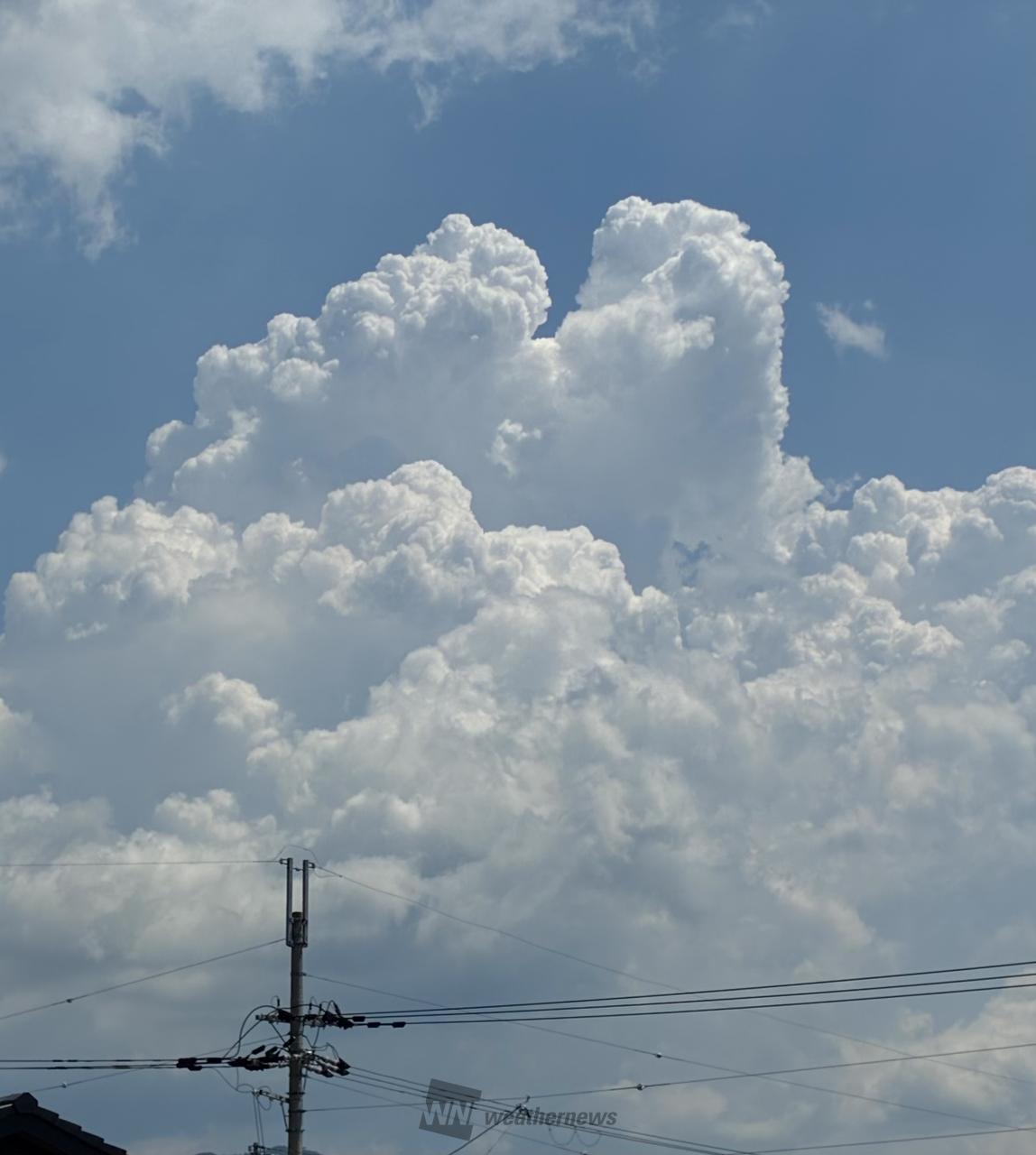 ☁️もくもく☁️ 注目の空の写真 ウェザーニュース
