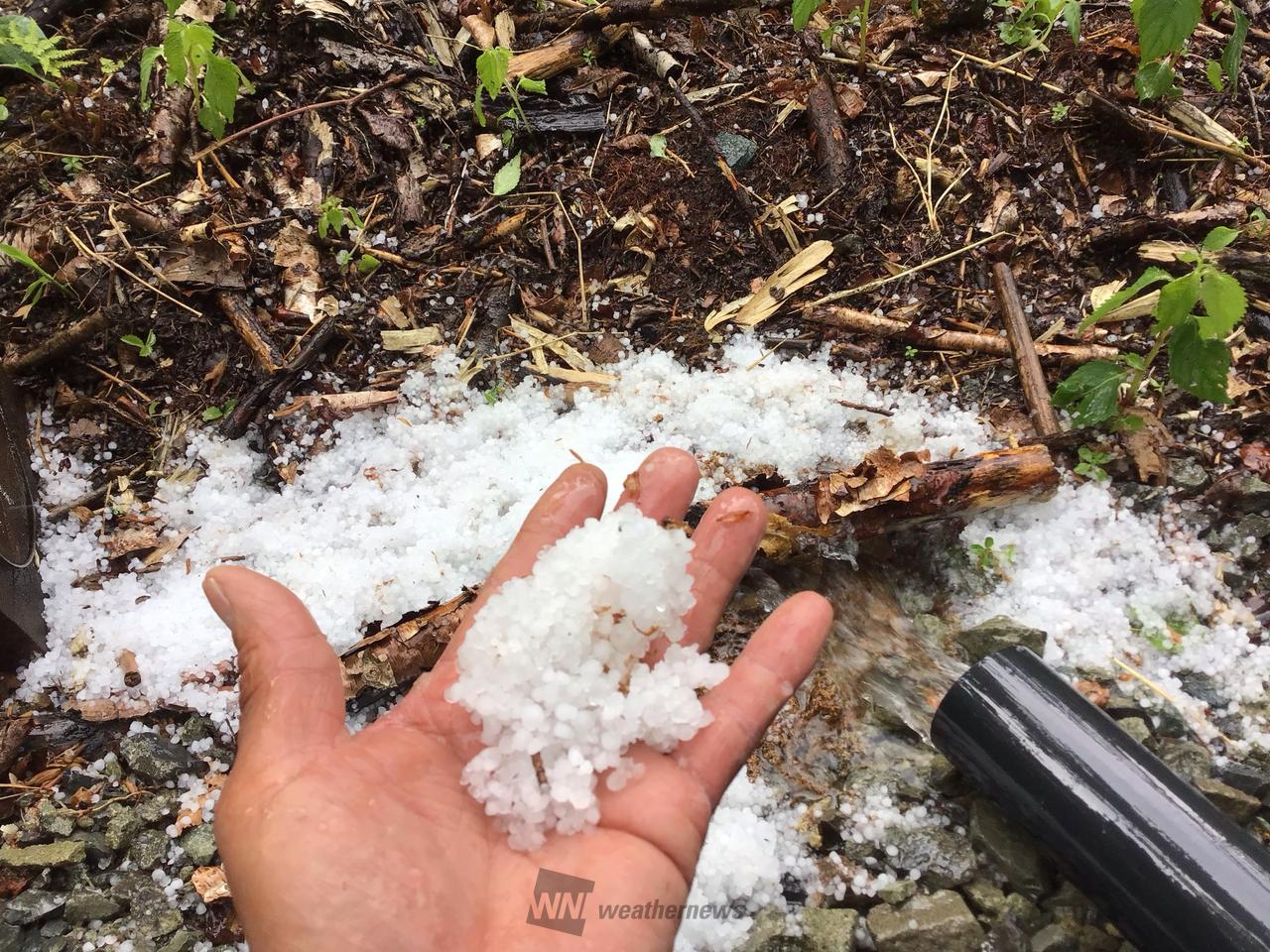 雷雨と共に雹