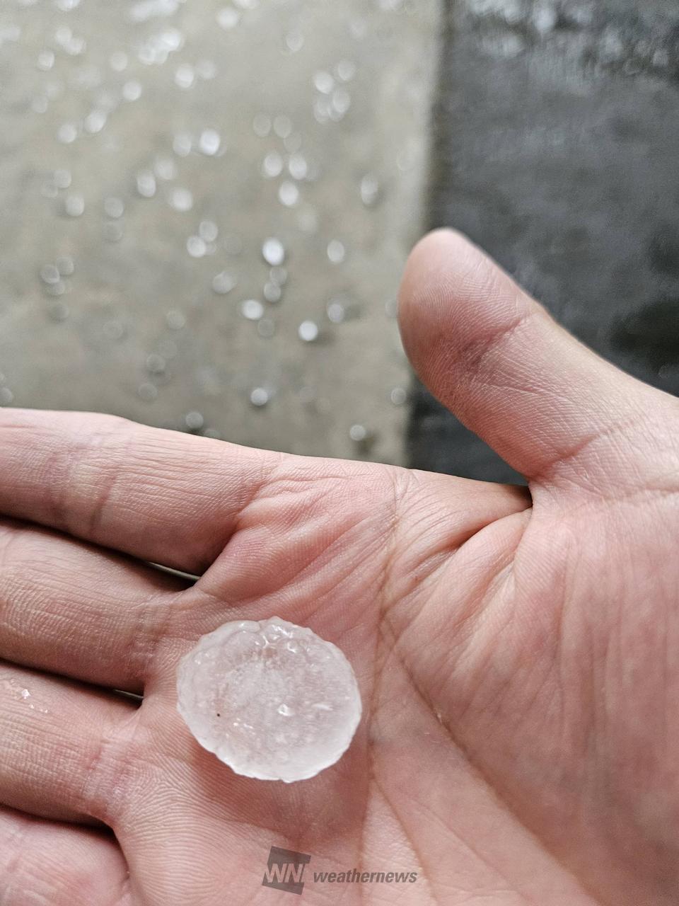 青梅市は凄い雨とヒ...