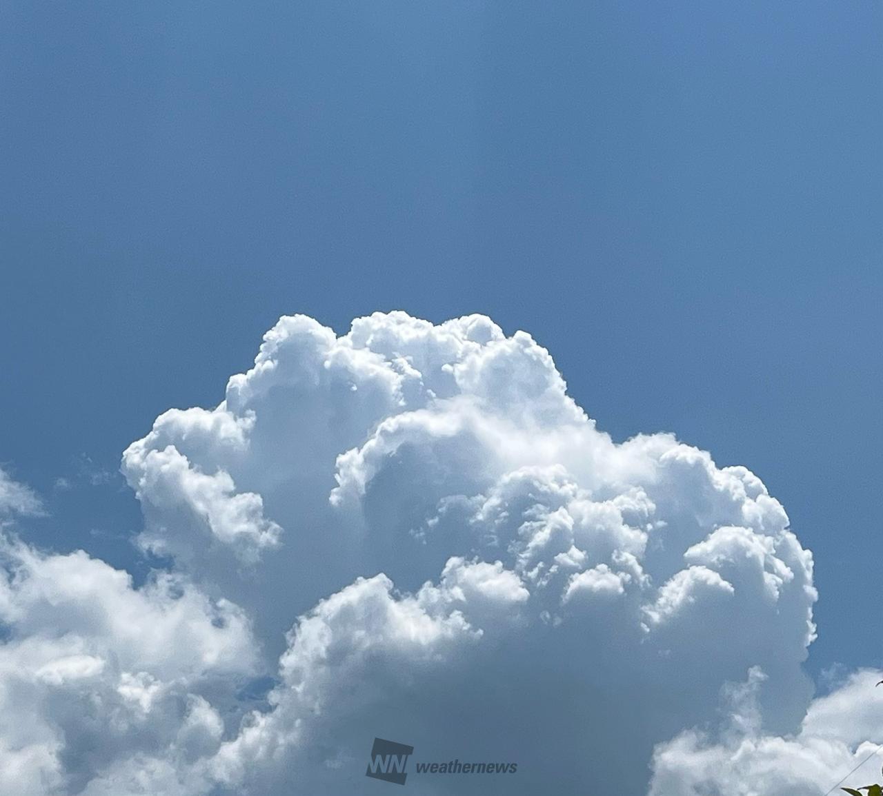 モクモク雲 注目の空の写真 ウェザーニュース