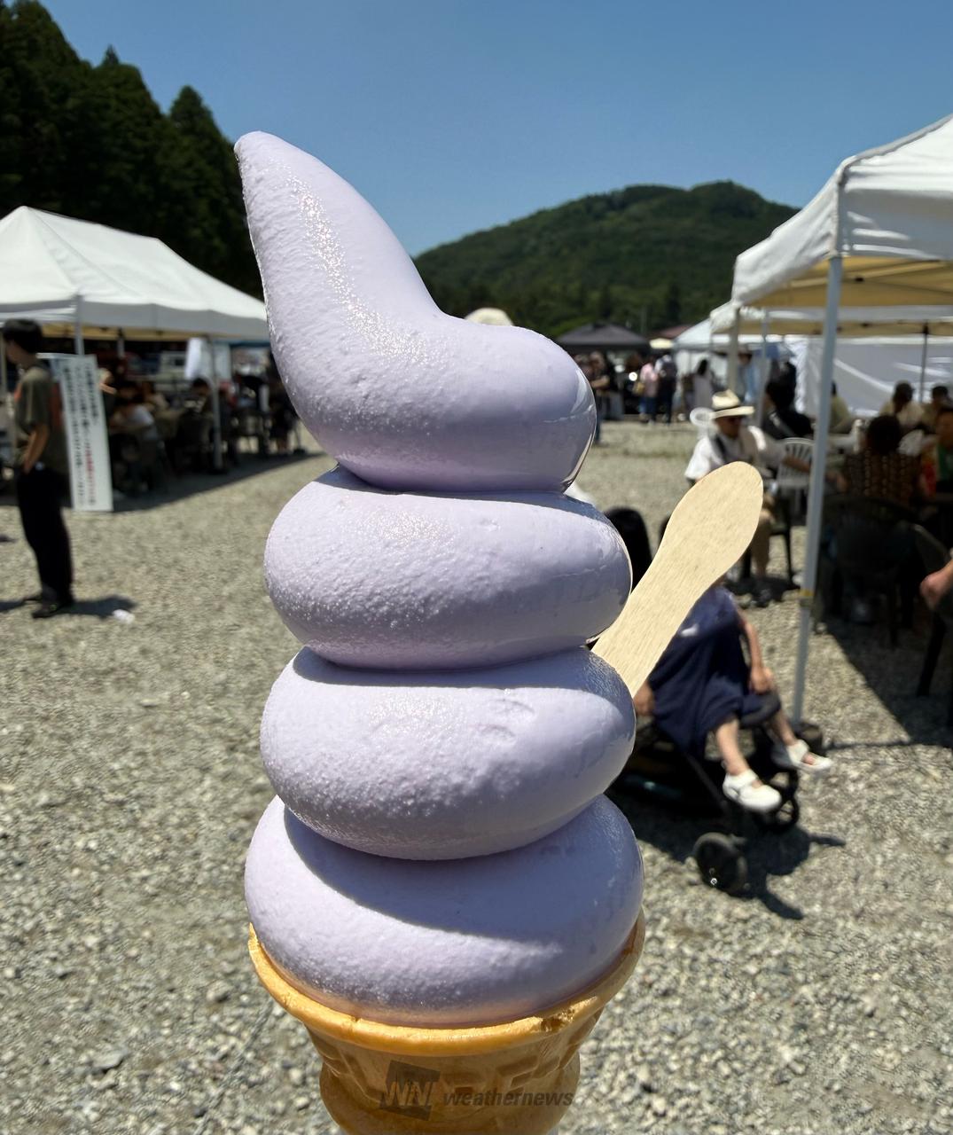 15分待ちの末に、念願のラベンダーソフト | 埼玉県比企郡嵐山町