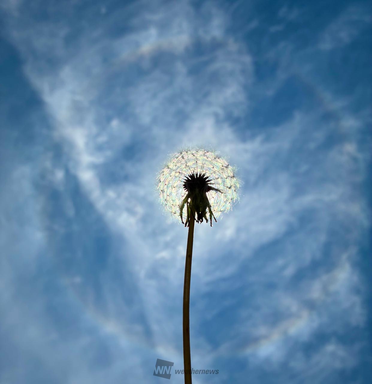 虹色ぞくぞく🌈 注目の空の写真 ウェザーニュース