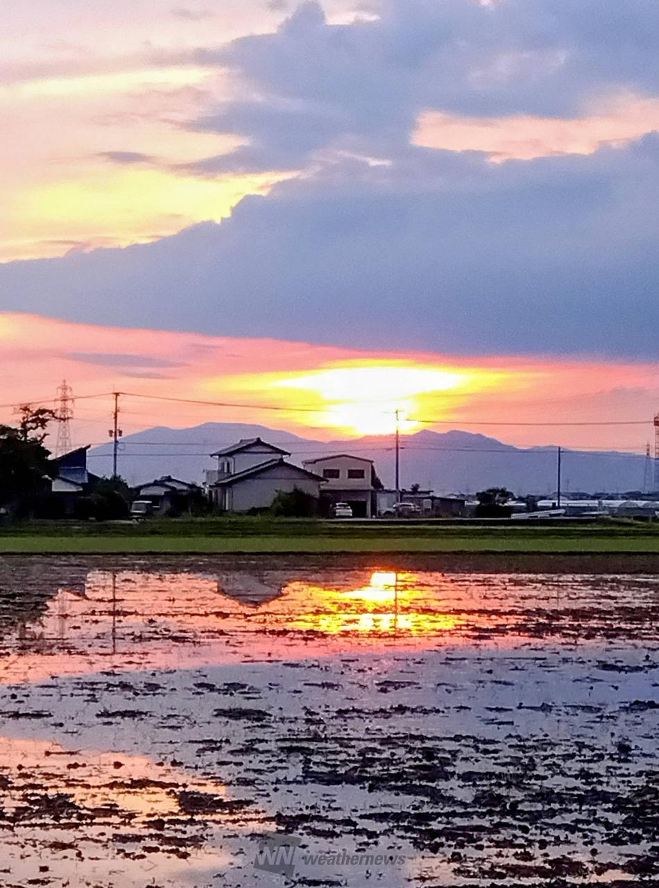 筑後 市 の 天気