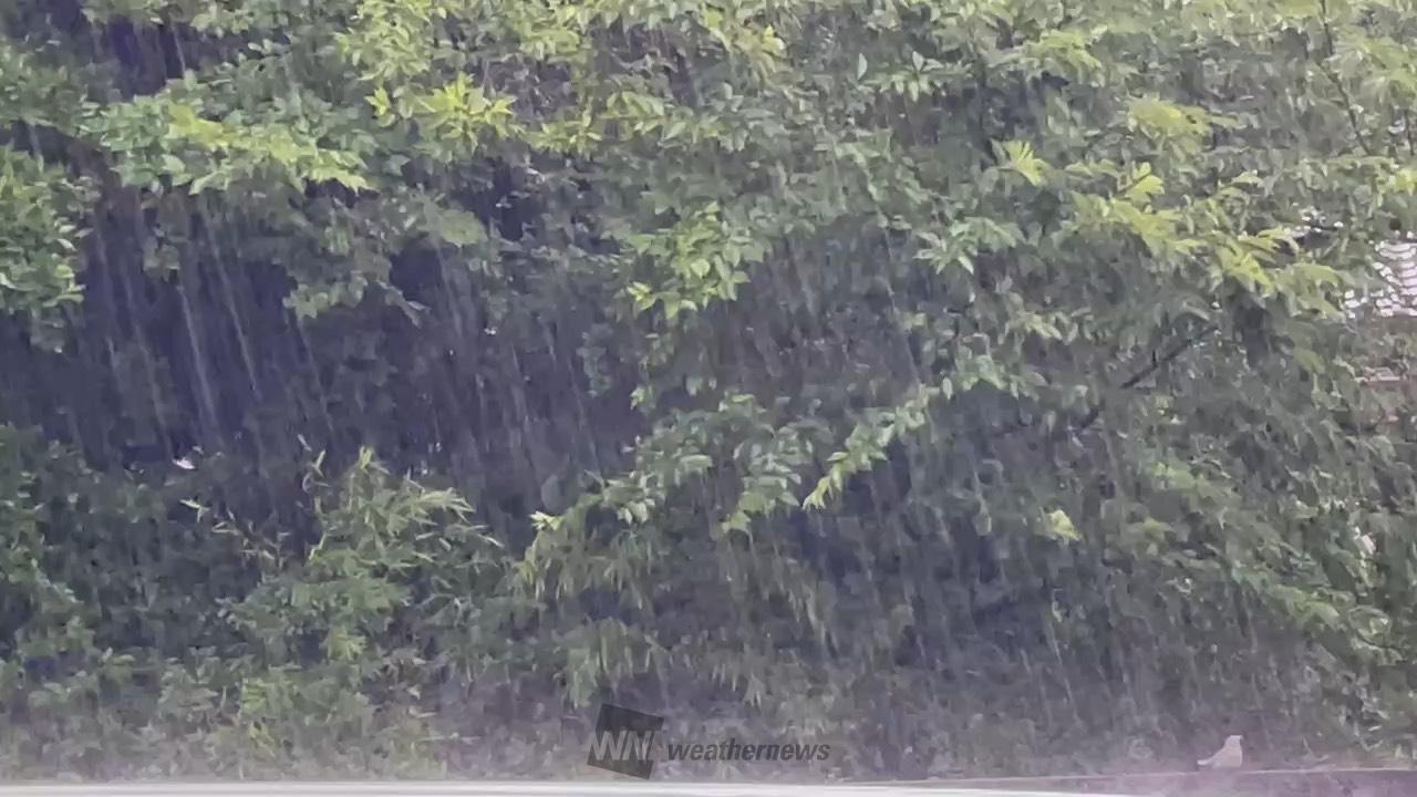 九州などで激しい雨 注目の空の写真 ウェザーニュース