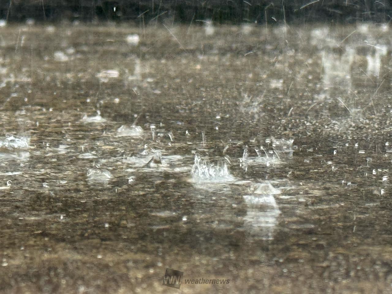 こんばんは😊 ザーザー降りの雨です | 徳島県海部郡美波町 | めい